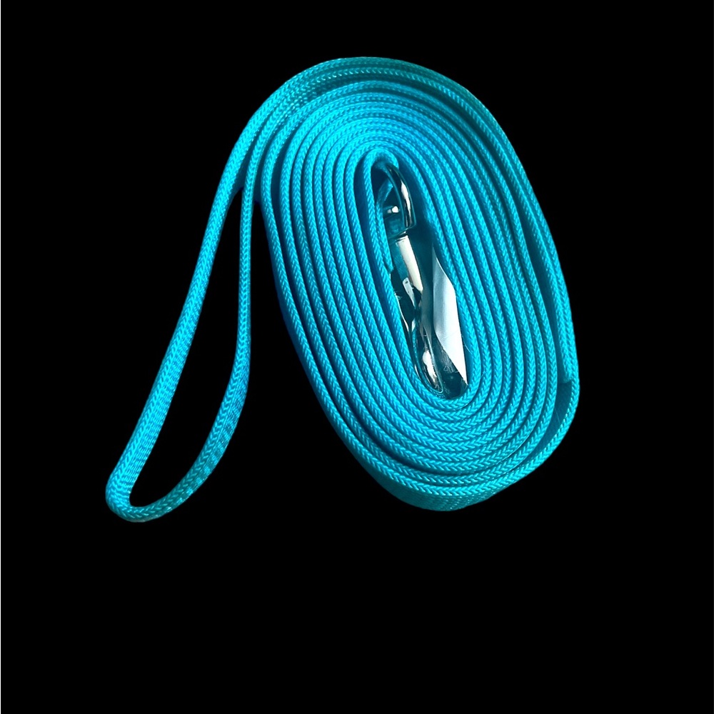 COPY - Pet Leash